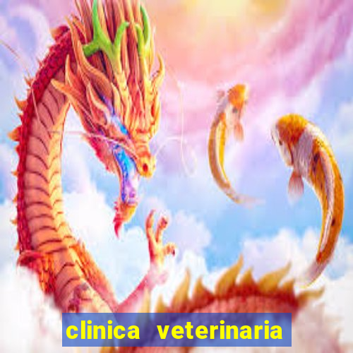 clinica veterinaria cuidar betim